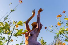 PRIMAVERA Foto: Renato Mangolin